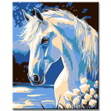 Paint by Numbers for Adults Mold