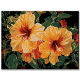 Painting by Numbers Flowers Irises Orange