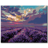 Painting by Numbers Pictures Lavender Field
