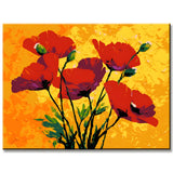 Paint by Numbers for Adults Poppies