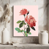 Painting by Numbers Flowers Pink Rose