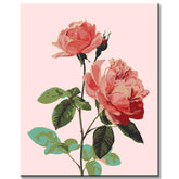 Painting by Numbers Flowers Pink Rose