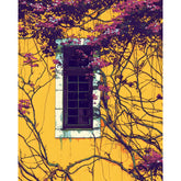 Paint by Numbers Climbing Plant Purple