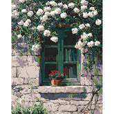 Painting by Numbers Climbing Plant White