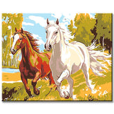 Painting by Numbers Horses Galloping