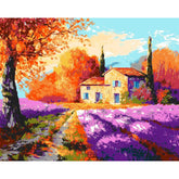 Painting by Numbers Flowers Lavender Field with House
