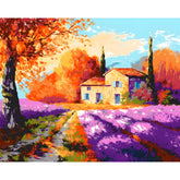 Painting by Numbers Flowers Lavender Field with House