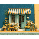 Painting by Numbers Pictures Street Cafe