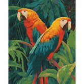 Painting by Numbers Bird Parrots