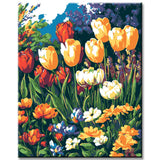 Painting by Numbers Pictures of Colorful Flower Meadows
