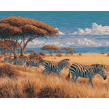 Painting by Numbers Animals Zebra Herd