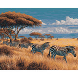 Painting by Numbers Animals Zebra Herd