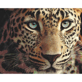 Painting by Numbers Leopard
