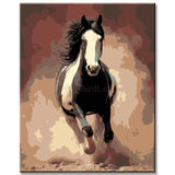 Painting by Numbers Horses Black White Horse