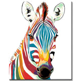 Painting by Numbers Animals Zebra in Rainbow Colors