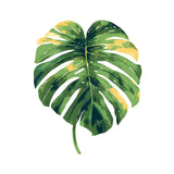 Paint by Numbers Plant