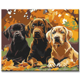 Painting by Numbers 3 Dogs