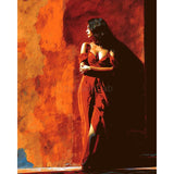 Painting by Numbers Adult Woman in Red Dress