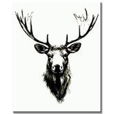 Paint by Numbers Moose Head