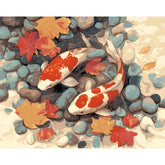 Painting by Numbers Fish Koi