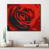 Paint by Numbers for Adults Rose
