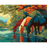 Painting by Numbers Pictures Horses by The Stream