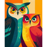 Painting by Numbers Bird Owls Couple