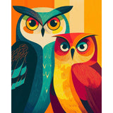 Painting by Numbers Bird Owls Couple