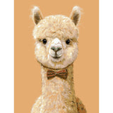 Painting by Numbers Pictures Mini Llama