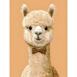 Painting by Numbers Pictures Mini Llama