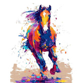 Painting by Numbers Funny Animals Zebra