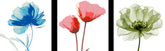 Paint by Numbers Blue Flower 3 Triptych