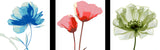 Paint by Numbers Blue Flower 3 Triptych