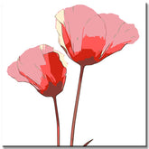 Painting by Numbers Red Flower