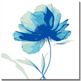 Paint by Numbers Blue Flower