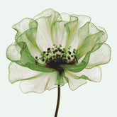 Painting by Numbers Green Flower