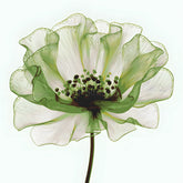 Painting by Numbers Green Flower