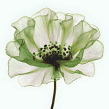 Painting by Numbers Green Flower