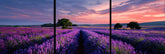 Painting by Numbers Lavender Field Mnz-SS-040-3-Panel