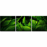 Painting by Numbers Sheets- 3-Panel (Triptych) -SS-187