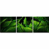 Painting by Numbers Sheets- 3-Panel (Triptych) -SS-187