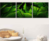 Painting by Numbers Sheets- 3-Panel (Triptych) -SS-187