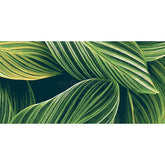 Paint by Numbers Plants Art Leaves