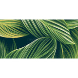 Paint by Numbers Plants Art Leaves