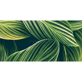 Paint by Numbers Plants Art Leaves