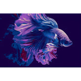 Painting by Numbers Siamese Fighting Fish