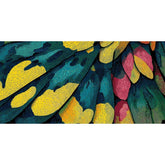 Paint by Numbers Feathers