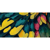 Paint by Numbers Feathers