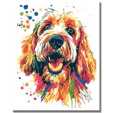 Painting by Numbers Dog Bobtail in Rainbow Colors