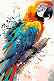 Paint by Numbers Parrot Portrait Modern Animal Art Painting